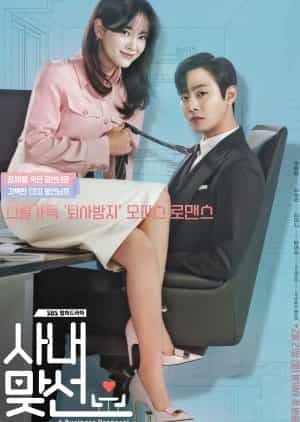 Nodrakor Business Proposal Subtitle Indonesia