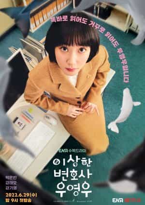 Extraordinary Attorney Woo Subtitle Indonesia