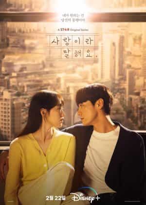 Nodrakor Call it Love Subtitle Indonesia